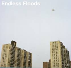 Endless Floods : II